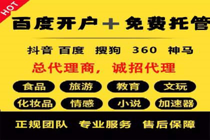 百度竞价SEM深度解析：某行业成功推广经验